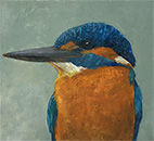 Kingfisher