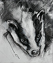 Badger