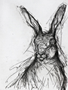 Hare (ii)