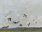 Fox and Swallows