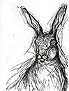 Hare (ii)