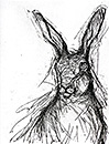 Hare (ii)