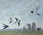 Swallows, Pembrokeshire